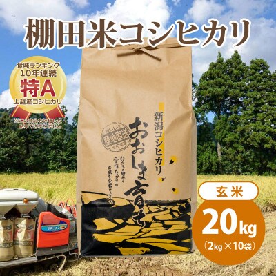 極少量米:数量限定令和5年産/新潟県上越市大島区産 棚田米コシヒカリ 20kg(2kg×10)玄米