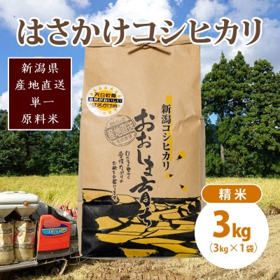 限定米令和6年産/新潟上越大島産/特A棚田はさがけ天日干し米コシヒカリ3kg(3kg×1)精米