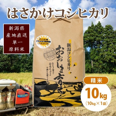 限定米令和6年産/新潟上越大島産/特A棚田はさがけ天日干し米コシヒカリ10kg(10kg×1)精米
