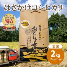 限定米令和5年産/新潟上越大島産/特A棚田はさがけ天日干し米コシヒカリ2kg(2kg&times;1)玄米