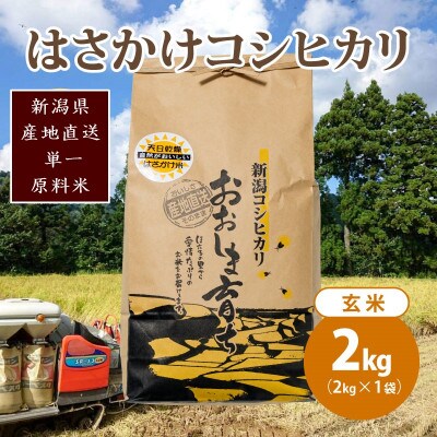 限定米令和6年産/新潟上越大島産/特A棚田はさがけ天日干し米コシヒカリ2kg(2kg×1)玄米