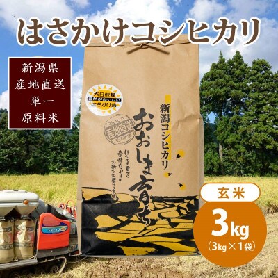 限定米令和6年産/新潟上越大島産/特A棚田はさがけ天日干し米コシヒカリ3kg(3kg×1)玄米