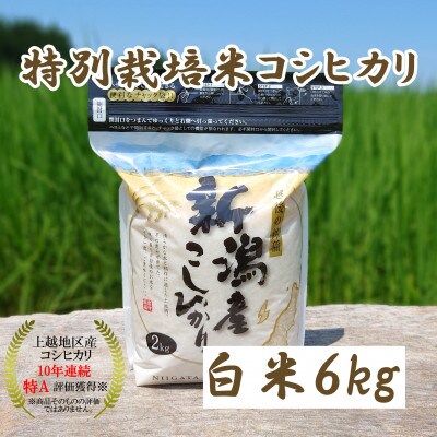 令和5年産|新潟上越三和産|特別栽培米コシヒカリ(従来種)6kg(2kg×3)精米