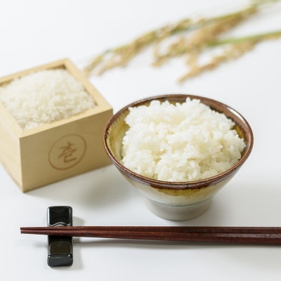令和5年産|新潟上越三和産|特別栽培米コシヒカリ(従来種)15kg(5kg×3)精米