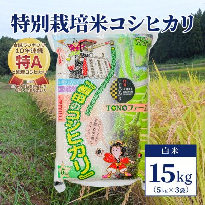 【50セット限定】令和5年産 新潟上越清里産 特別栽培米コシヒカリ15kg(5kg×3袋)白米
