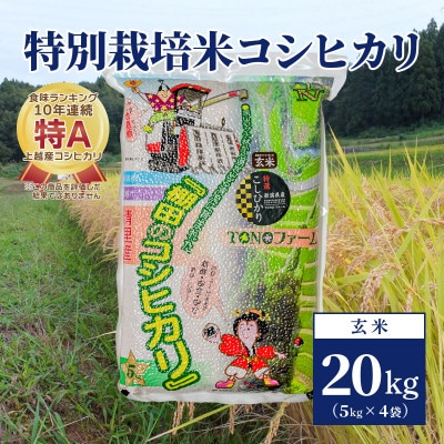 【400kg限定】令和5年産 新潟上越清里産 特別栽培米コシヒカリ20kg(5kgx4袋) 玄米