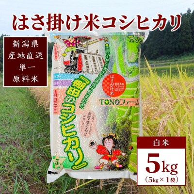 【数量限定】令和6年産 新潟上越清里産 はさ掛け米コシヒカリ5kg(5kg×1袋)白米