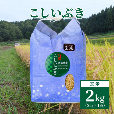 【数量限定】令和6年産|新潟上越清里東戸野産|新潟県限定品種こしいぶき2kg(2kg×1袋)玄米