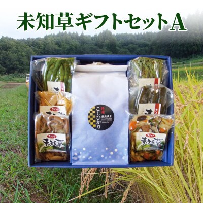 【限定10セット】大人気の未知草ギフトセットA|新潟県上越市清里収穫した山菜加工品とコシヒカリ
