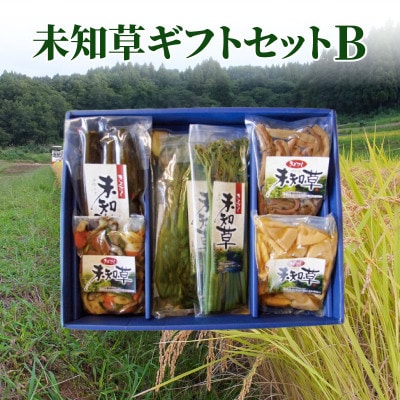 【限定15セット】大人気の未知草ギフトセットB|新潟県上越市清里収穫した山菜加工品