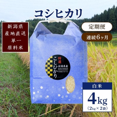 【毎月定期便】新潟県上越市清里区東戸野産コシヒカリ4kg(2kg×2)白米全6回