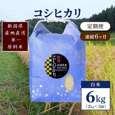 【毎月定期便】新潟県上越市清里区東戸野産コシヒカリ6kg(2kg×3)白米全6回