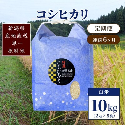 【毎月定期便】新潟県上越市清里区東戸野産コシヒカリ10kg(2kg×5)白米全6回