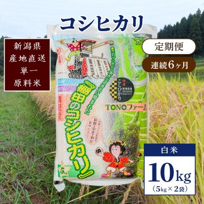 【毎月定期便】新潟県上越市清里区東戸野産コシヒカリ10kg(5kg×2)白米全6回