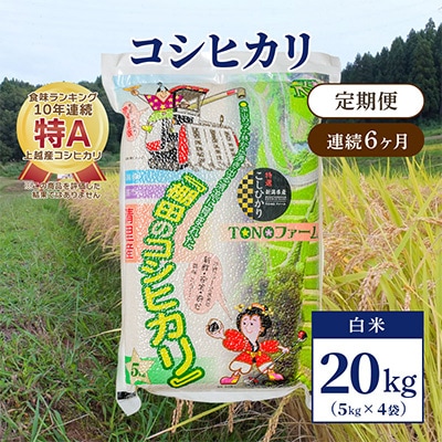 【毎月定期便】新潟県上越市清里区東戸野産コシヒカリ20kg(5kg×4)白米全6回