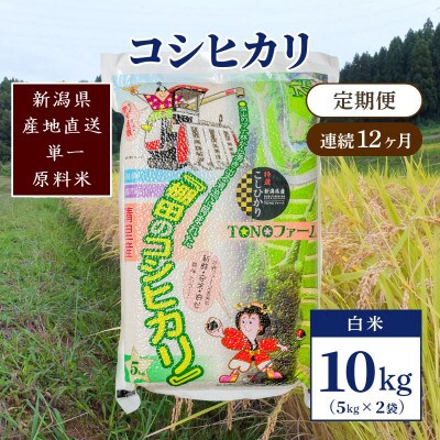 【毎月定期便】新潟県上越市清里区東戸野産コシヒカリ10kg(5kg×2)白米全12回