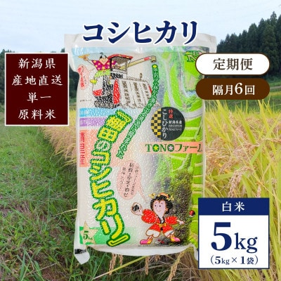 【2ヵ月毎定期便】新潟県上越市清里区東戸野産コシヒカリ5kg(5kg×1)白米全6回