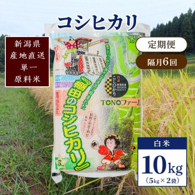 【2ヵ月毎定期便】新潟県上越市清里区東戸野産コシヒカリ10kg(5kg×2)白米全6回