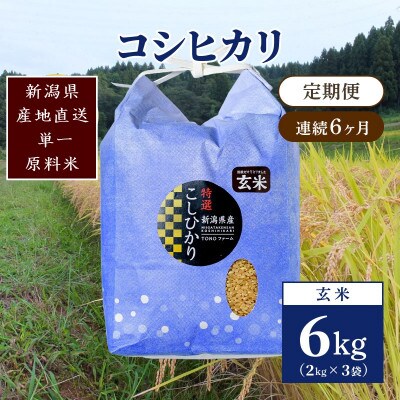 【毎月定期便】新潟県上越市清里区東戸野産コシヒカリ6kg(2kg×3)玄米全6回