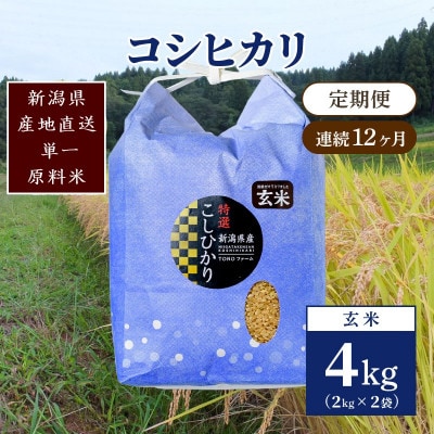 【毎月定期便】新潟県上越市清里区東戸野産コシヒカリ4kg(2kg×2)玄米全12回
