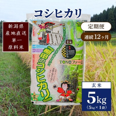 【毎月定期便】新潟県上越市清里区東戸野産コシヒカリ5kg(5kg×1)玄米全12回