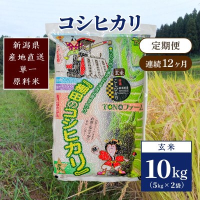 【毎月定期便】新潟県上越市清里区東戸野産コシヒカリ10kg(5kg×2)玄米全12回