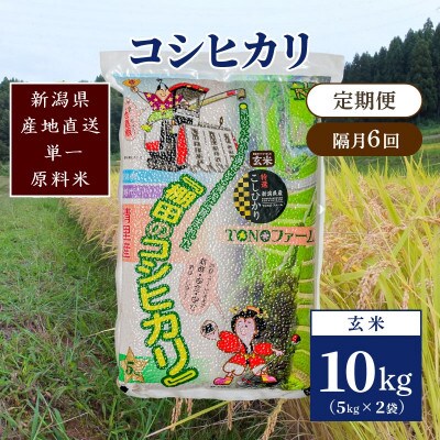 【2ヵ月毎定期便】新潟県上越市清里区東戸野産コシヒカリ10kg(5kg×2)玄米全6回
