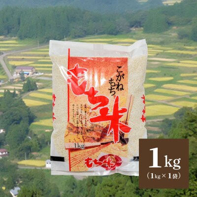 【数量限定】令和5年産 新潟県上越市清里区北野産 棚田米もち米 こがねもち1kg(1kgx1袋)白米