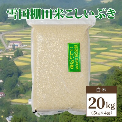 数量限定|令和5年産|新潟県上越市清里区北野産|雪国棚田米こしいぶき20kg(5kg×4)白米