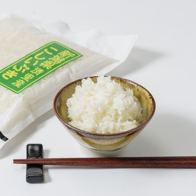 数量限定|令和5年産|新潟県上越市清里区北野産|雪国棚田米こしいぶき20kg(5kg×4)白米