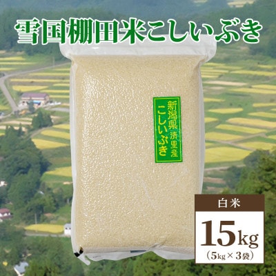 数量限定|令和5年産|新潟県上越市清里区北野産|雪国棚田米こしいぶき15kg(5kg×3)白米