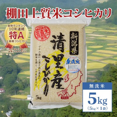 数量限定|令和5年産|新潟県上越市清里区北野産|棚田上質米コシヒカリ5kg(5kg×1)無洗米