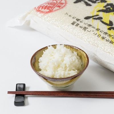 数量限定|令和5年産|新潟県上越市清里区北野産|棚田上質米コシヒカリ5kg(5kg×1)無洗米