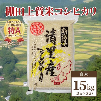 数量限定|令和5年産|新潟県上越市清里区北野産|棚田上質米コシヒカリ15kg(5kg×3)白米