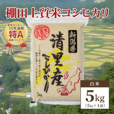数量限定|令和5年産|新潟県上越市清里区北野産|棚田上質米コシヒカリ5kg(5kg×1)白米