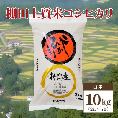 数量限定|令和5年産|新潟県上越市清里区北野産|棚田上質米コシヒカリ10kg(2kg×5)白米