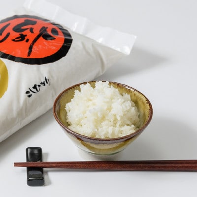 数量限定|令和5年産|新潟県上越市清里区北野産|棚田上質米コシヒカリ6kg(2kg×3)白米