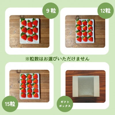 大粒いちご　カラダよろこぶ　やみつき越後姫　　約400g×1パック(9から15粒入り)