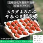新潟県上越市産　中粒いちご　カラダよろこぶ越後姫　　約200g×2パック(18から30粒入り)