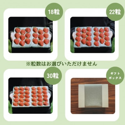 新潟県上越市産　中粒いちご　カラダよろこぶ越後姫　　約200g×2パック(18から30粒入り)