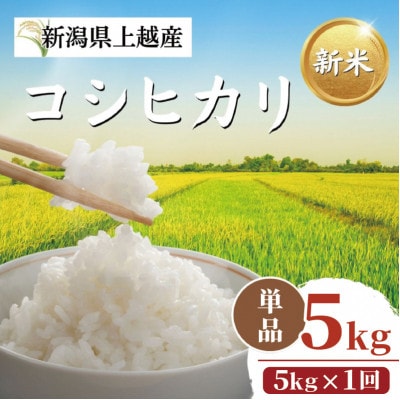【令和8年10月以降配送】令和8年産新潟県上越市産コシヒカリ5kg 新米先行予約