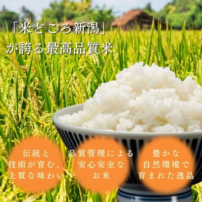 【令和8年10月以降配送】令和8年産新潟県上越市産コシヒカリ5kg 新米先行予約