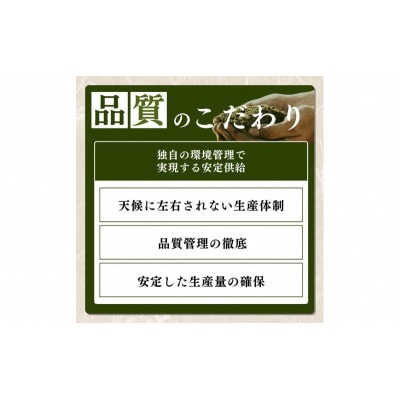 【令和8年10月以降配送】令和8年産新潟県上越市産コシヒカリ5kg 新米先行予約