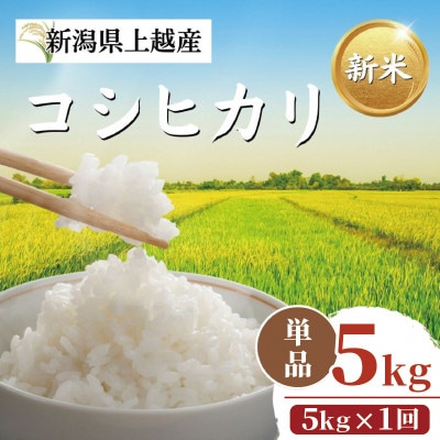 【令和8年11月以降配送】令和8年産新潟県上越市産コシヒカリ5kg 新米先行予約