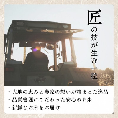 【令和8年11月以降配送】令和8年産新潟県上越市産コシヒカリ5kg 新米先行予約