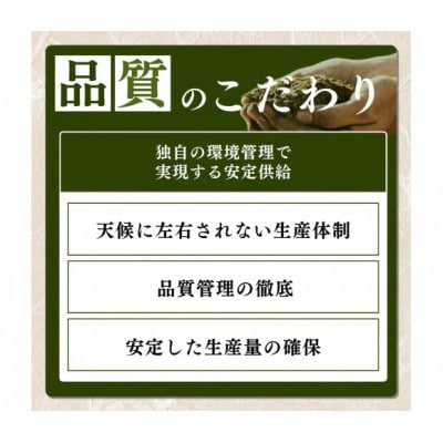 【令和8年11月以降配送】令和8年産新潟県上越市産コシヒカリ5kg 新米先行予約