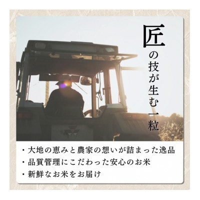 【令和8年12月以降配送】令和8年産新潟県上越市産コシヒカリ5kg 新米先行予約