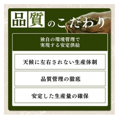 【令和8年12月以降配送】令和8年産新潟県上越市産コシヒカリ5kg 新米先行予約