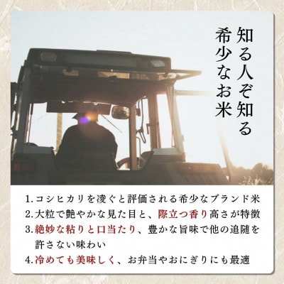 【令和8年10月以降配送】【プロも高評価!】令和8年産新潟県上越市産みずほの輝き5kg 新米先行予約
