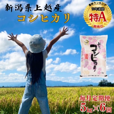 【毎月定期便】新潟県上越産コシヒカリ 精米 5kg全6回